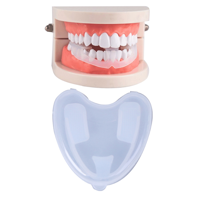 ที่ครอบฟันป้องกันฟันกราม ป้องก - Dental Guard Night บทวิจารณ์และราคา