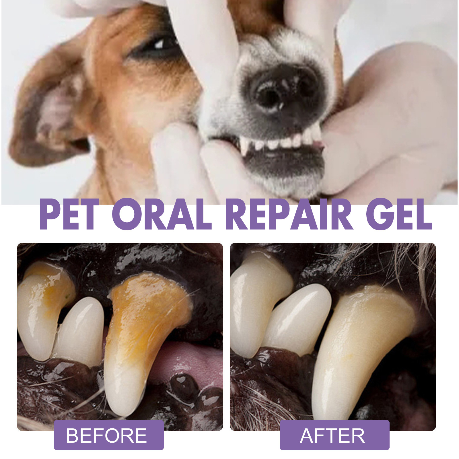 สัตว์เลี้ยง Oral Repair GEL Pu - Teeth Whitening With Peroxide บทวิจารณ์และราคา